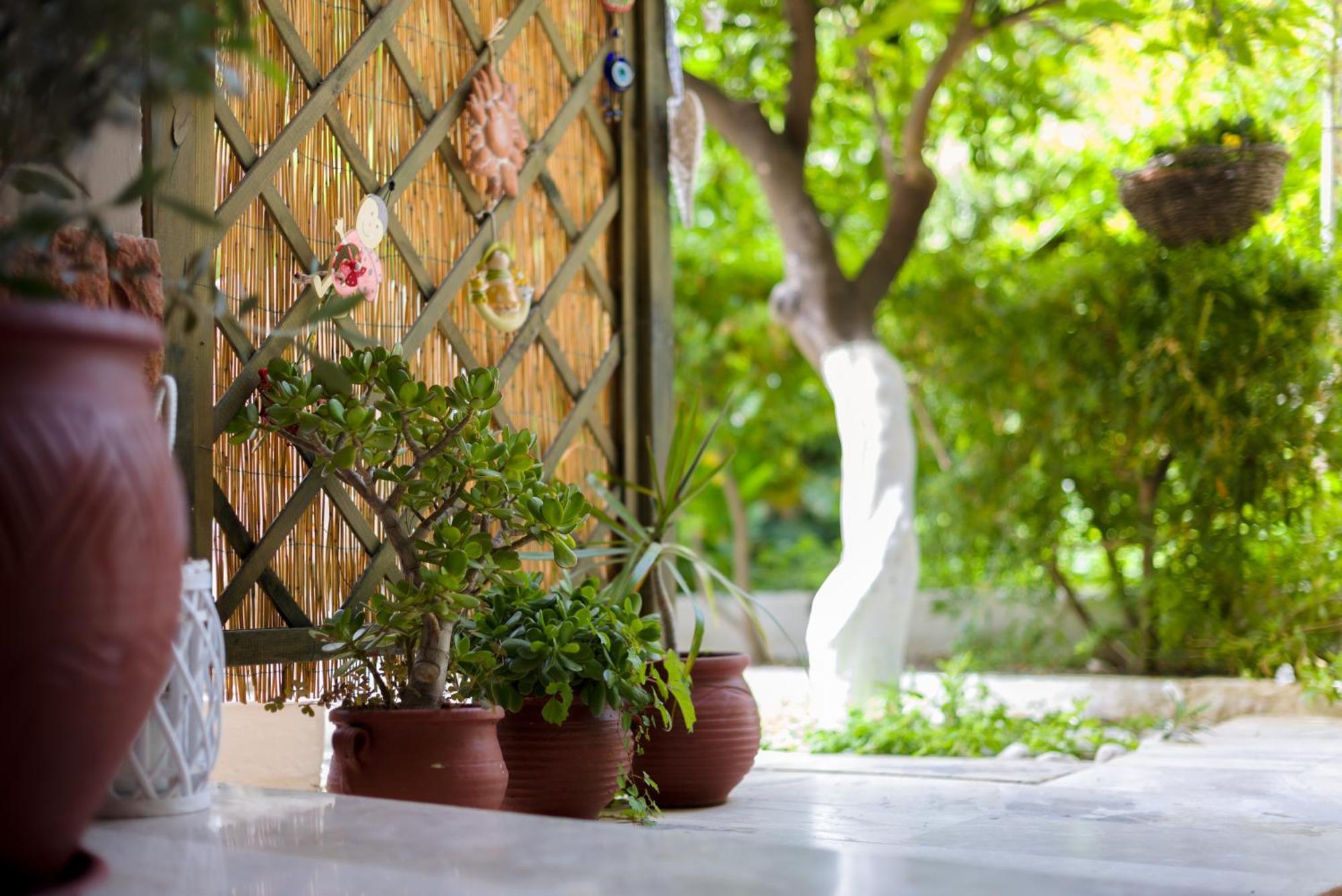 Oasis Home Tolón Buitenkant foto